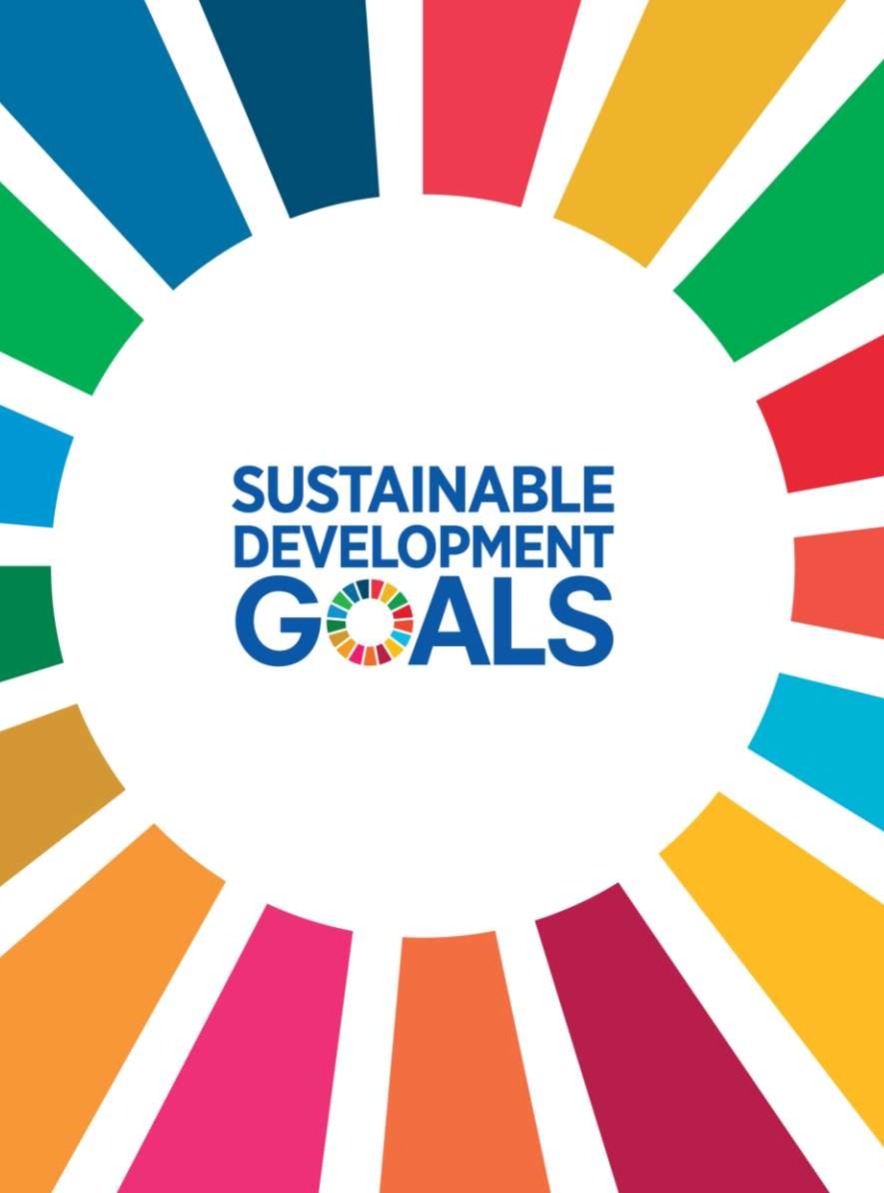 Sustainable Development Goals icons